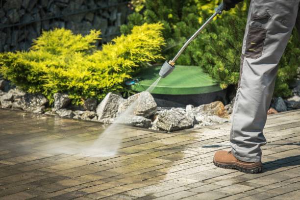 Professional  Pressure Washing Services in Wayne, NE