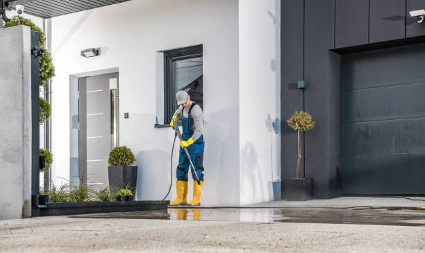 Best Sidewalk and Walkway Cleaning  in Way, NE